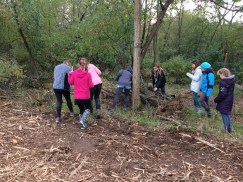 comp_20151017_125409668_iOS