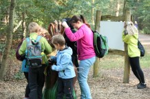 comp_20160924_091646560_ios