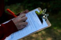 comp_20160924_124411840_ios