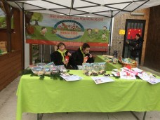 comp_20161127_120035741_ios