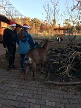 comp_20161203_144705389_ios