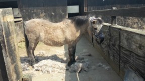 comp_20170429_110412